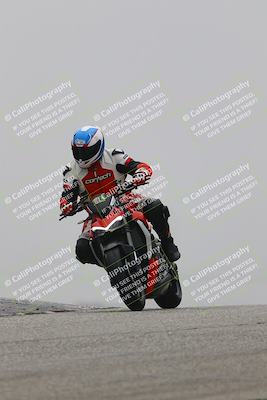 media/Nov-29-2025-TrackDaz (Sat) [[10ae2d9bce]]/C Group/Session 2 (Grapevine)/